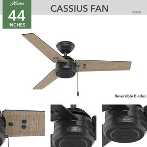 Hunter Cassius 44 in. Indoor/Outdoor Ceiling Fan - Matte Black, Matte Black, hires