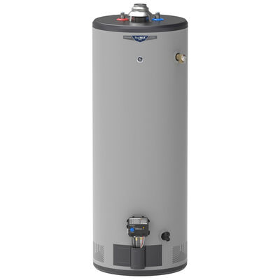 GE RealMax Premium LP Gas 50 Gallon Tall Water Heater with 10-Year Parts Warranty | GP50T10BXR