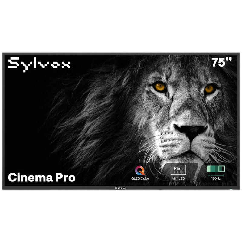 Sylvox - Cinema Pro 75" Class Full Sun 4K UHD QLED Smart Google Outdoor TV, , hires