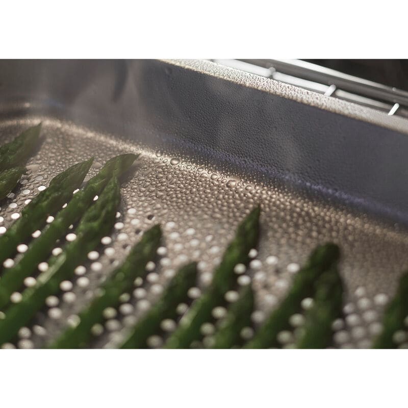 Fisher & Paykel Series 11 24 in. 3 cu. ft. Smart Steam Electric Single Wall Oven with Standard Convection - Black, , hires