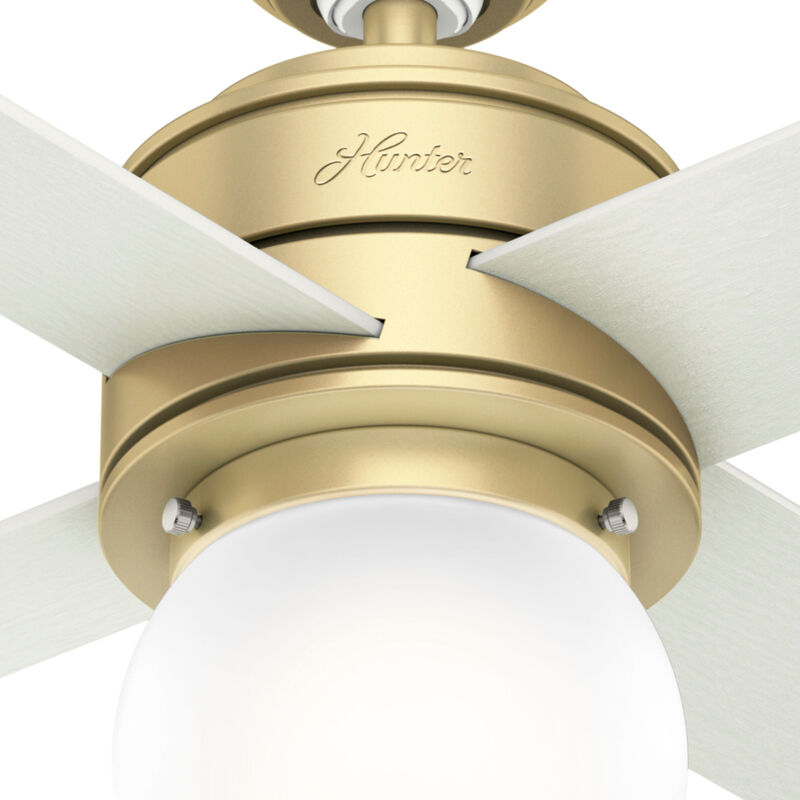 Hunter Hepburn 44 in. Ceiling Fan with LED Light Kit and Wall Control - Brass, , hires