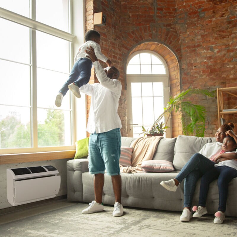 Friedrich WallMaster Series 8,000 BTU 110V Smart Through-the-Wall Air Conditioner with 3 Fan Speeds & Remote Control - White, , hires