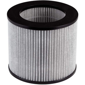 Bissell Replacement Carbon Filter for MyAir Personal Air Purifier