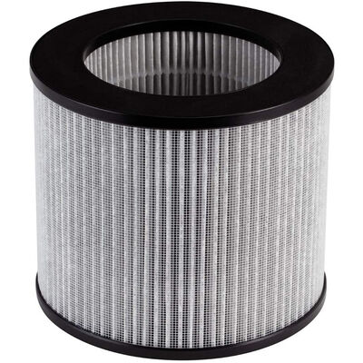 Bissell Replacement Carbon Filter for MyAir Personal Air Purifier | 2801