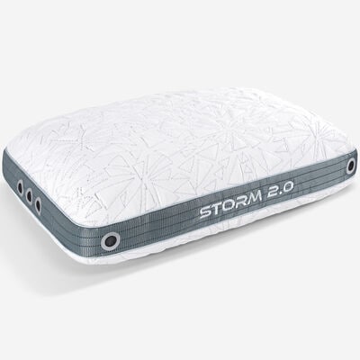 BEDGEAR Storm 2.0 Performance Standard Size Pillow | BGP02522P
