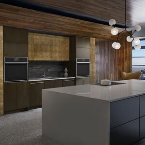 Monogram Minimalist Series 30 in. 5 cu. ft. Smart Speed Electric Single Wall Oven with True European Convection - Stainless Steel, , hires