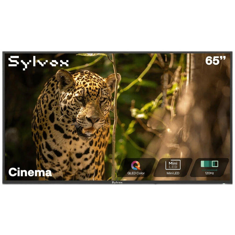 Sylvox - Cinema 65" Class Full Sun 4K UHD QLED Smart Google Outdoor TV, , hires
