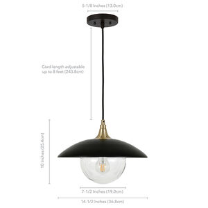 Hudson & Canal Alvia 14.5 in. Pendant with Clear Glass - Matte Black & Gold, , hires