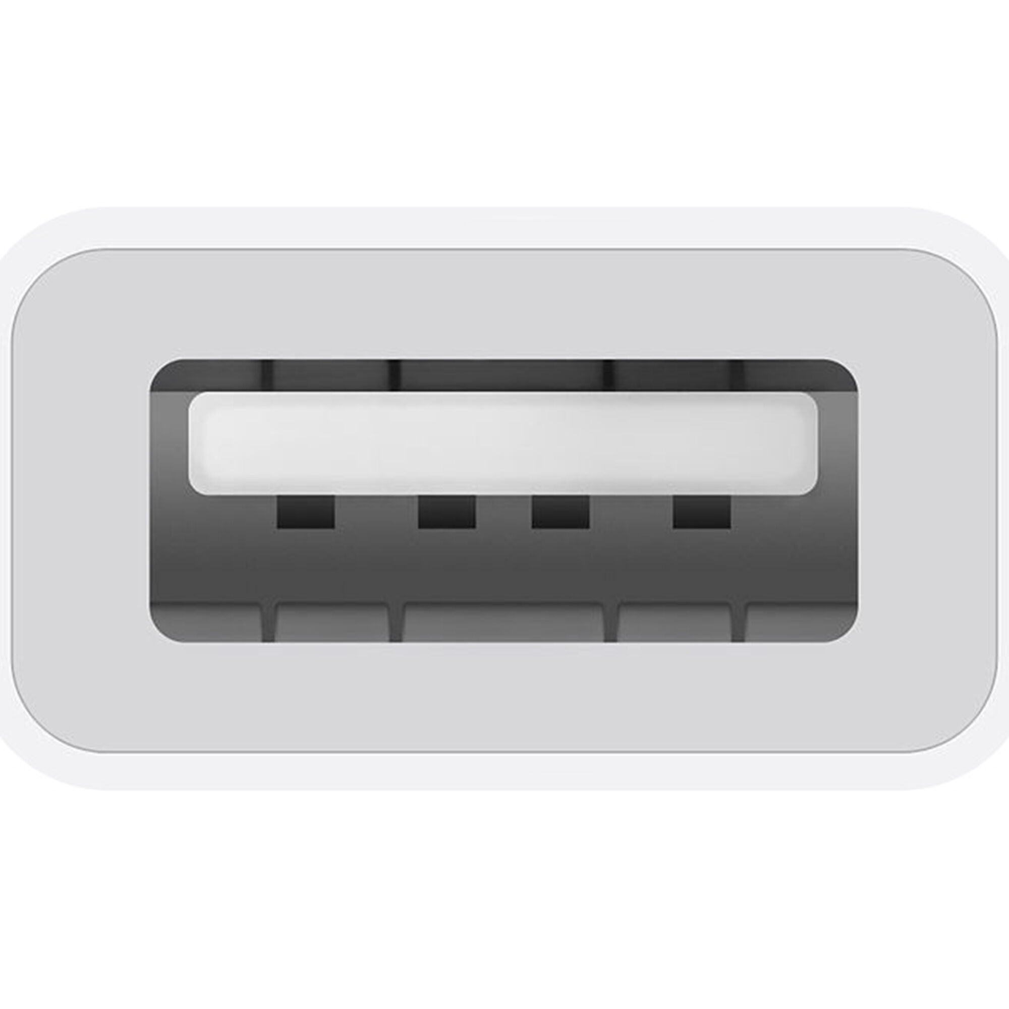 Apple USB Type-C to USB Type-A Adapter - Thumbnail 4