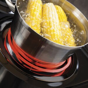 GE 30 in. 5 cu. ft. Electric Range with Coil Burners - Black, , hires