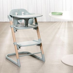 Evenflo RightSeat Multi-Stage High Chair - Saqe, Sage Green, hires