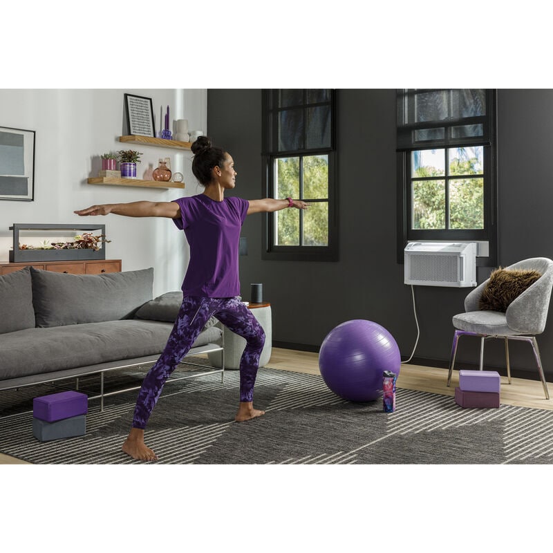 GE Profile Clearview 6,100 BTU Smart Saddle Window Air Conditioner with 3 Fan Speeds, Sleep Mode & Remote Control - White, , hires