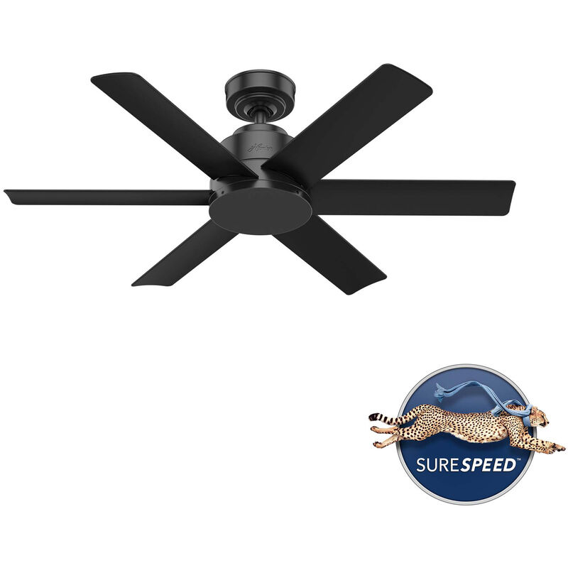 Hunter Kennicott 44 in. Indoor/Outdoor Ceiling Fan with Wall Control - Matte Black, Matte Black, hires
