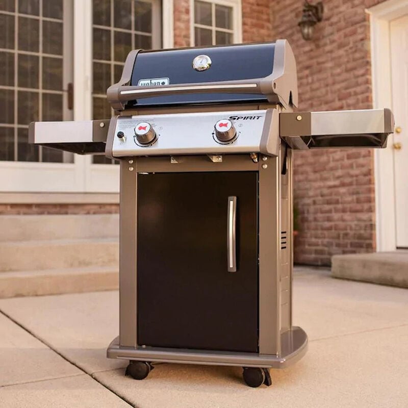 Weber bbq 2 best sale burner