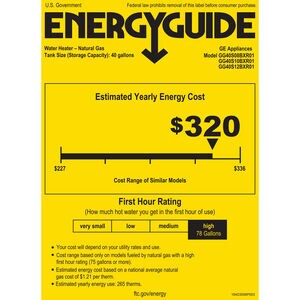 GE RealMax Platinum Natural Gas 40 Gallon Short Water Heater with 12-Year Parts Warranty, , hires