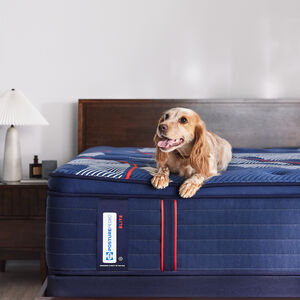 Sealy Albany II Posturepedic Elite Plush Euro Top Innerspring Full Size Mattress, , hires