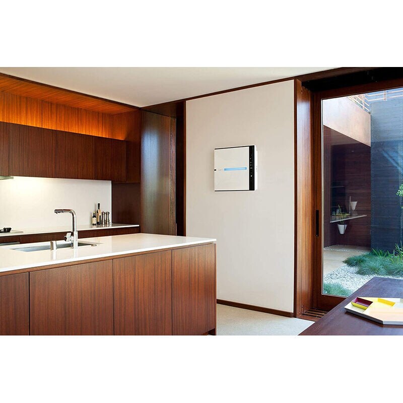 Rabbit top air ionizer