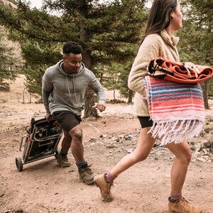 Weber Traveler 1-Burner Portable Liquid Propane Gas Grill - Black, , hires