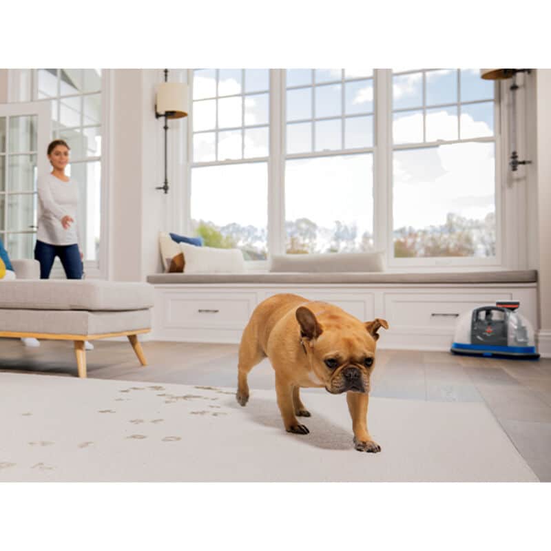 Bissell Little Green Portable Carpet Cleaner, , hires