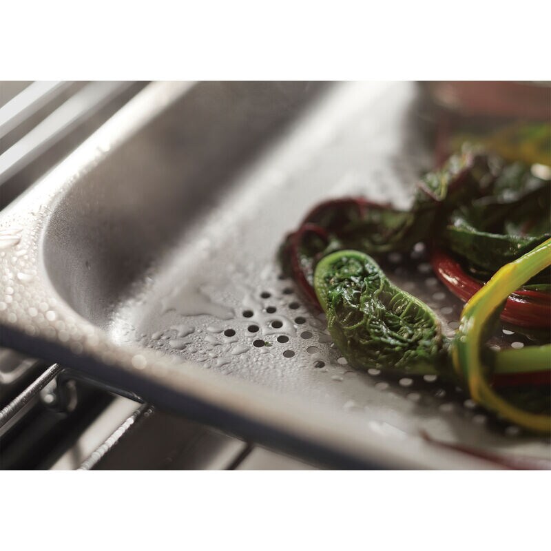 Fisher & Paykel Series 11 24 in. 3 cu. ft. Smart Steam Electric Single Wall Oven with Standard Convection - Black, , hires