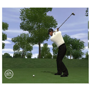 Tiger Woods PGA Tour 10 for PSP, , hires