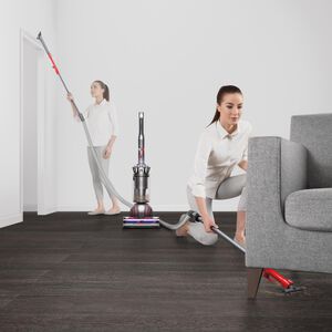 Dyson Ball Animal 3 Bagless Pet Upright Vacuum with HEPA Filter & 4 Additional Tools, , hires