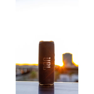 JBL Flip 6 Portable Rechargeable Waterproof Bluetooth Speaker - Black, Black, hires