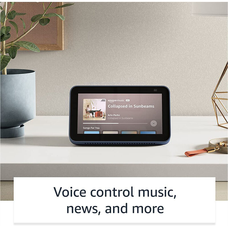 Echo show sale hue