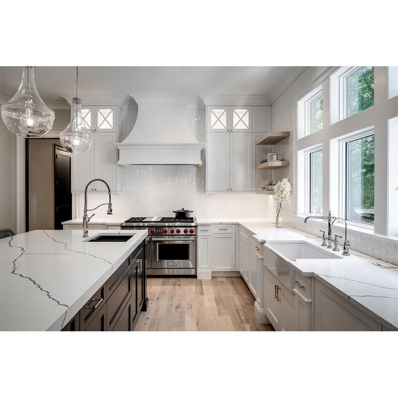 Wolf 48 in. Ducted Standard Style Range Hood with 2 LED Lights - Stainless Steel, , hires