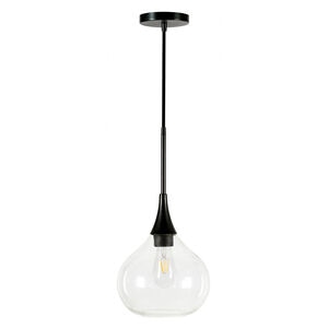 Hudson & Canal Ida 9.5 in. Pendant with Clear Glass - Matte Black, , hires