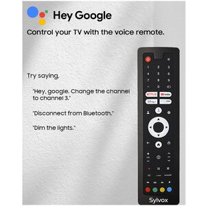 Sylvox - Pool Pro 2.0 43" Class Full Sun 4K UHD QLED Smart Google Outdoor TV, , hires
