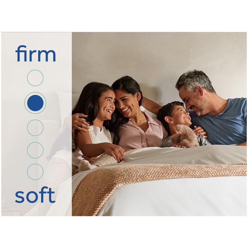 Sealy Warner Special Edition Firm Innerspring Full Size Mattress, , hires