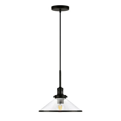 Hudson & Canal Milo 12.25 in. Pendant with Clear Glass - Blackened Bronze | PD0336