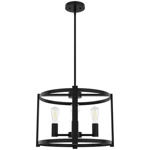 Hunter Astwood 18 in. 4-Light Chandelier - Matte Black, , hires
