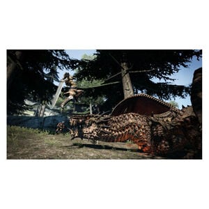 Dragon's Dogma for PS3, , hires