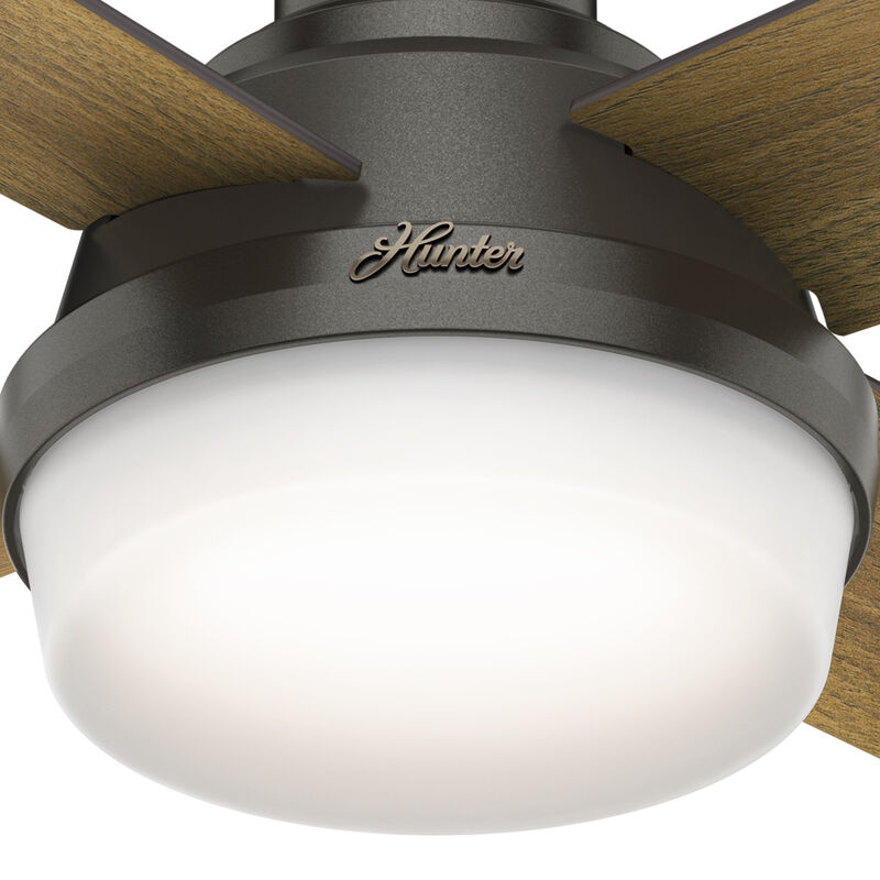 Hunter Dempsey 44 in. Low Profile Ceiling Fan with LED Light Kit and Handheld Remote - Noble Bronze, Noble Bronze, hires