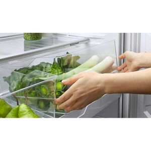 Fisher & Paykel Series 5 25 in. 13.5 cu. ft. Smart Counter Depth Bottom Freezer Refrigerator with Ice Maker - Stainless Steel, , hires