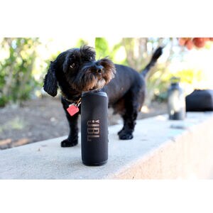 JBL Flip 6 Portable Rechargeable Waterproof Bluetooth Speaker - Black, Black, hires