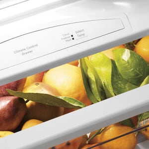 GE Profile 48 in. 28.7 cu. ft. Built-In Smart Counter Depth Side by Side Refrigerator with Ice & Water Dispenser - Stainless Steel, , hires