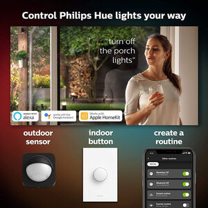 Philips - Hue White and Color Ambiance Lily XL Outdoor Spot Light Extension Kit - Black, , hires
