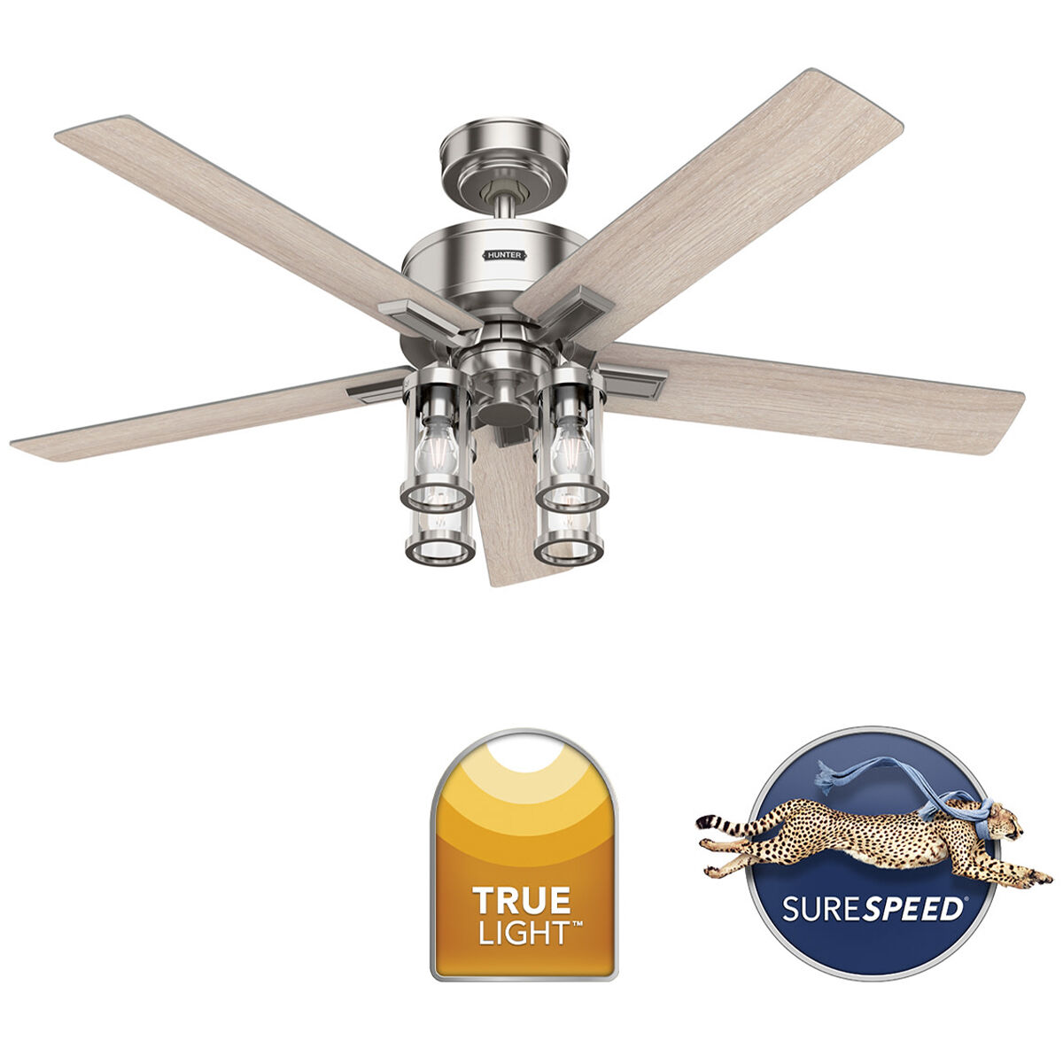 Hunter 52 in. Astwood II Ceiling Fan with LED Light Kit & Handheld