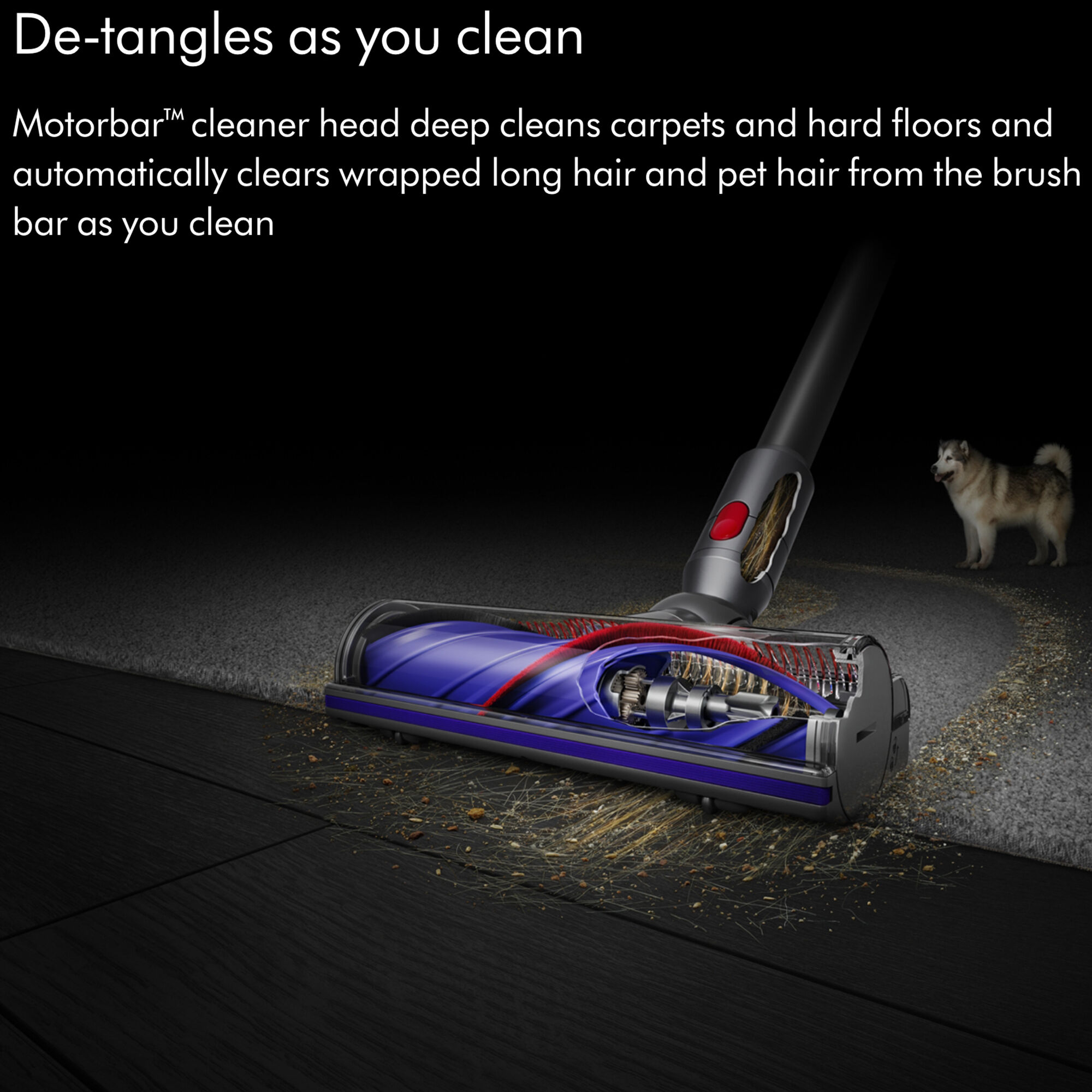 Clean dyson online cordless vacuum