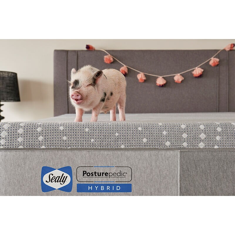 Sealy Posturepedic Hybrid Oriole Medium Firm - Twin XL Mattress, , hires