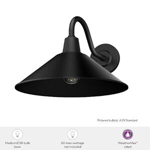 Hunter Skyflow Rustic Modern Metal Cone Outdoor Medium Wall Light-Matte Black, , hires