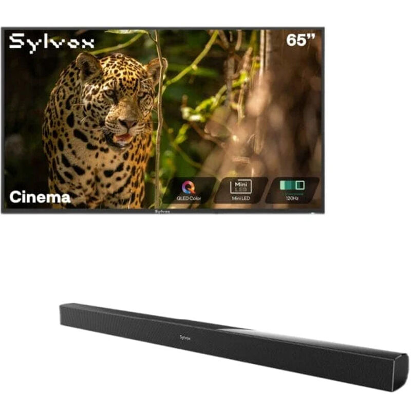 Sylvox - Cinema 65" Class Full Sun 4K UHD QLED Smart Google Outdoor TV, , hires