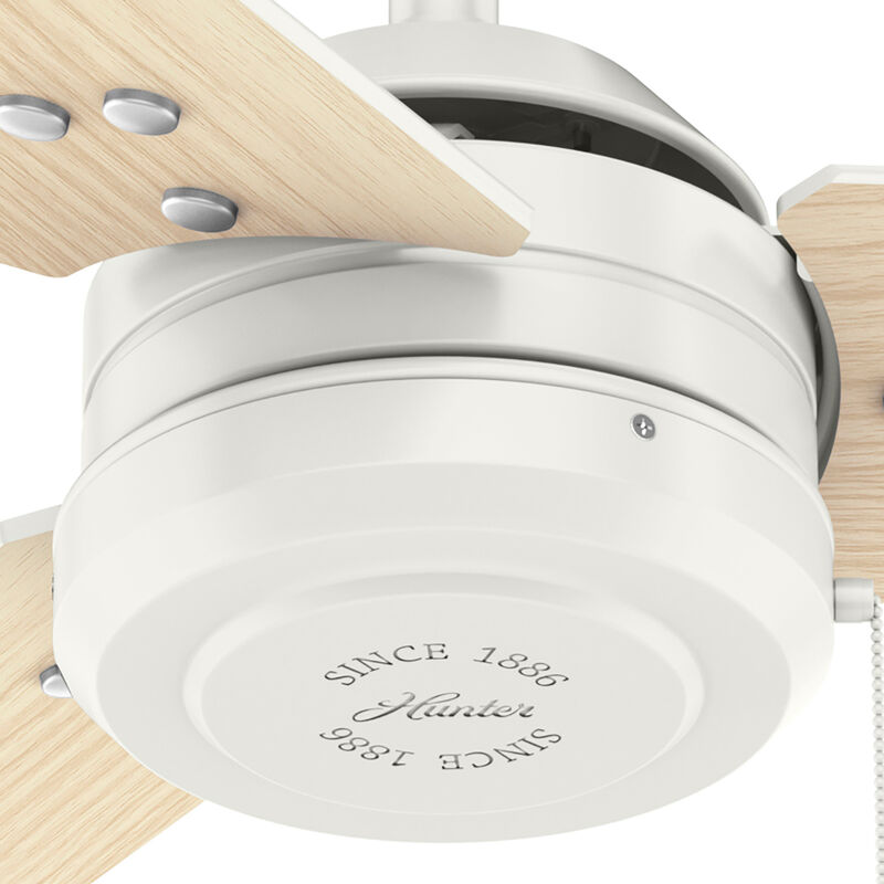 Hunter Cassius 44 in. Indoor/Outdoor Ceiling Fan - Fresh White, Fresh White, hires