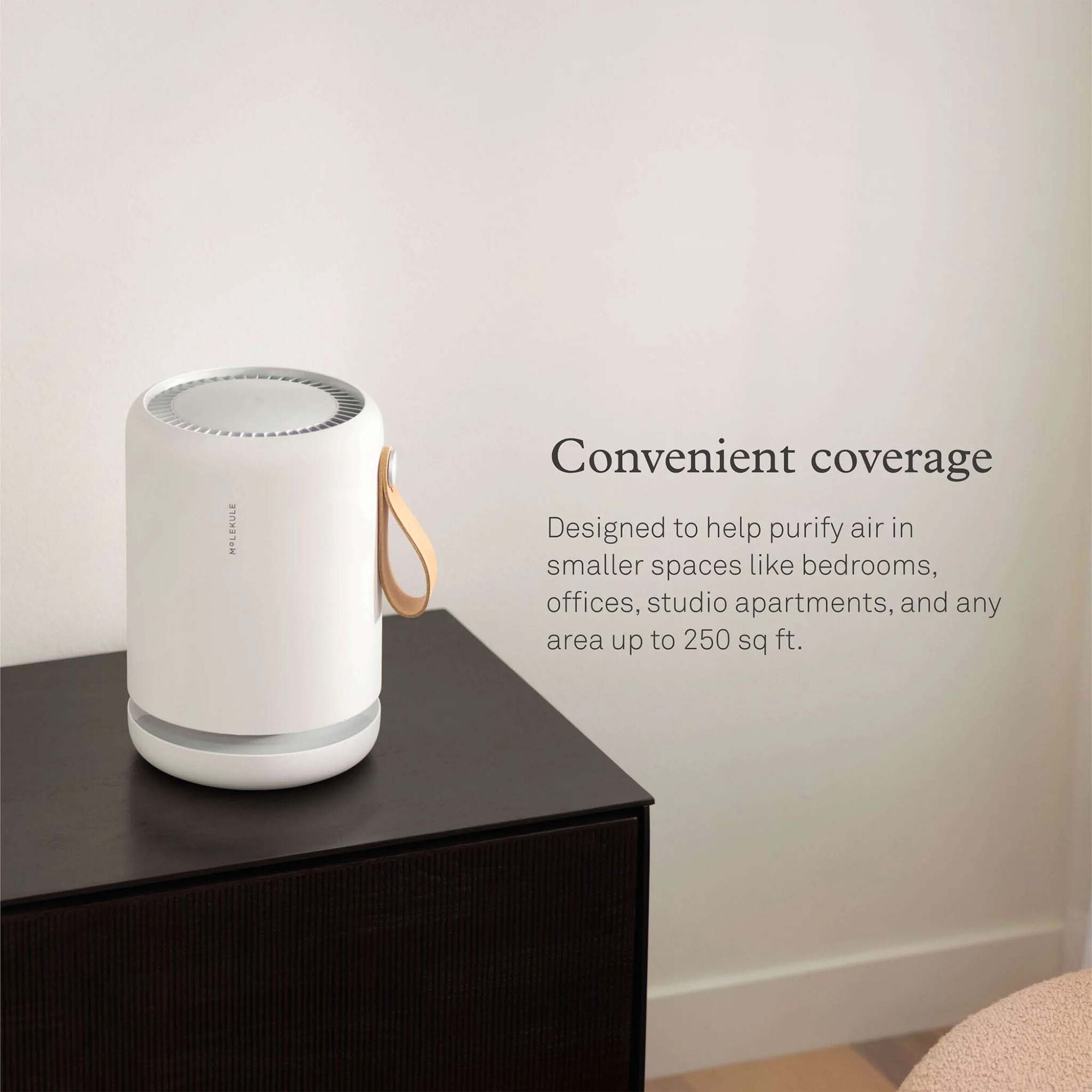 Air purifier store peco