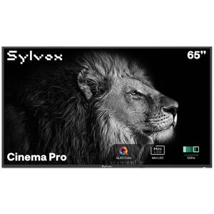 Sylvox - Cinema Pro 65" Class Full Sun 4K UHD QLED Smart Google Outdoor TV, , hires