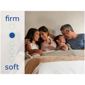 Sealy Warner Special Edition Firm Innerspring King Size Mattress, , hires