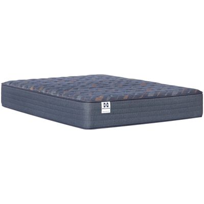 Sealy Warner Special Edition Firm Innerspring Full Size Mattress | 531981-40F
